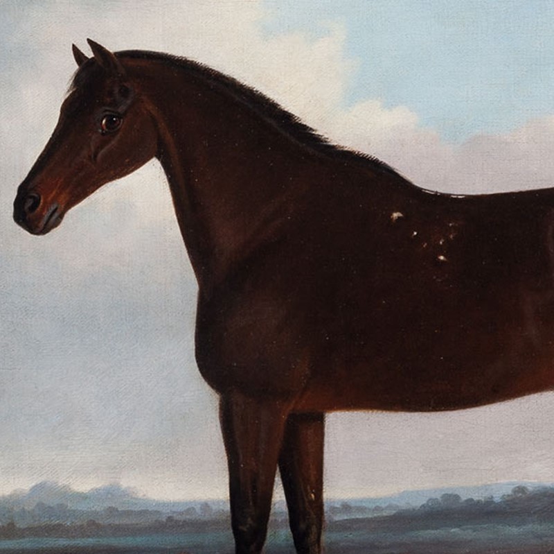 A Dark Bay Horse by William Garland of Winchester-walpoles-4164a-main-637490945893892516.jpg