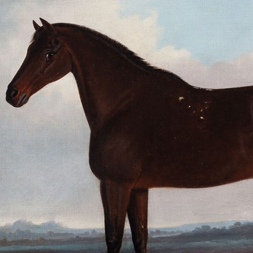 A Dark Bay Horse by William Garland of Winchester