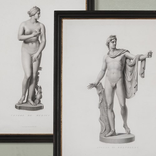 Belvedere Apollo And Medici Venus 