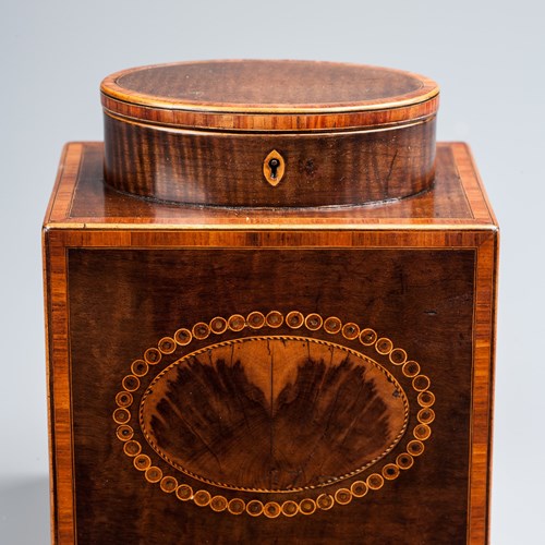 Harewood & Blackthorn Tea Caddy