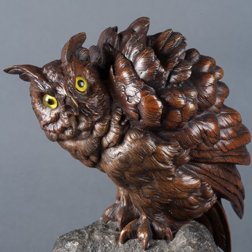 Scops Owl By Franz Bergmann 