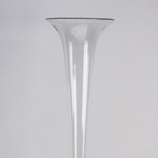 An Elegant Tall Lilly Vase