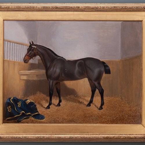 Portrait Of A Dark Bay Horse 