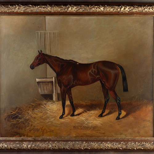 Portrait Of The Bay Horse Philosophy 