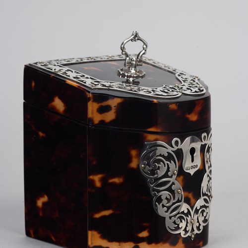 Victorian Novelty Tortoiseshell Tea Caddy 
