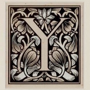 The Letter 'Y'