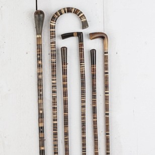 A Collection of Horn Canes