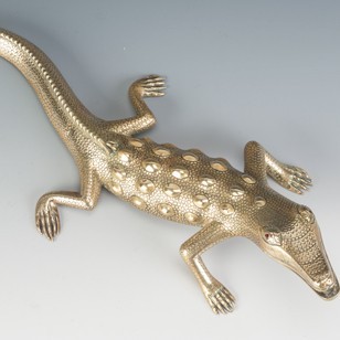 Crocodile