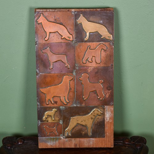Dog Sample Board