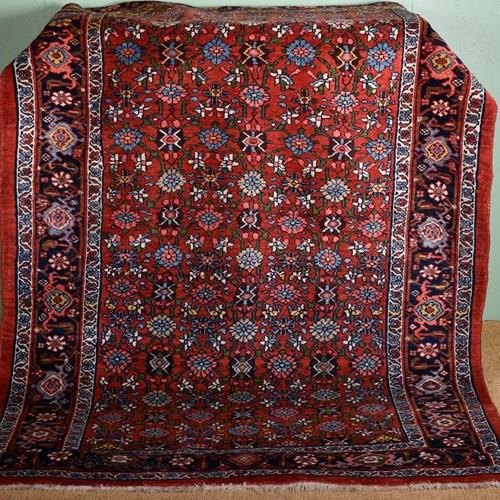 Bidjar Rug 