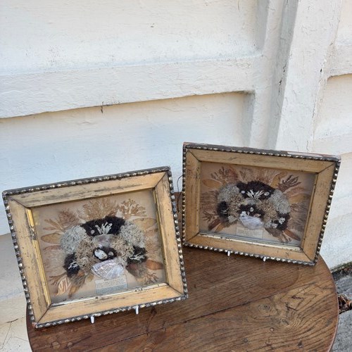 Pair Of Seaweed Dioramas