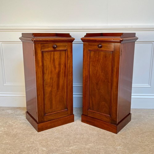 Rare Pair Of 19Th C Johnstone & Jeanes Bedside Cabinets