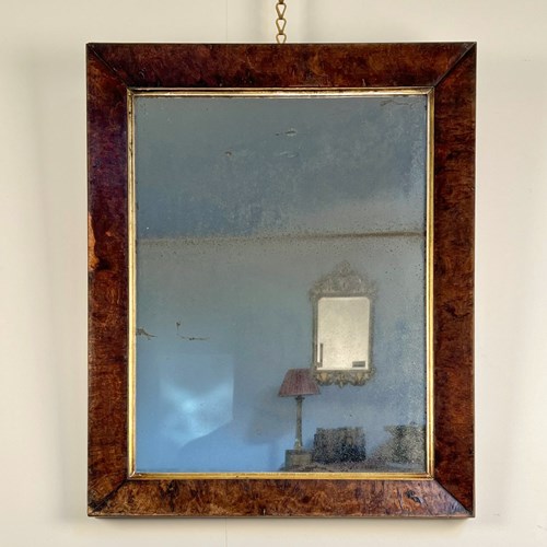 19Th C Pollard Oak Mirror